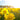 Spring Into Action: Top Gardening Tips for a Beautiful Garden