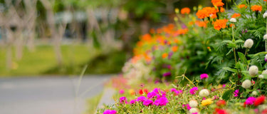 Get your garden ready for winter in the UK