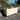 What Size Wooden Planter Do I Need for My Garden?