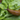 Battling the Slimy Intruders: Managing Slugs in Your Garden